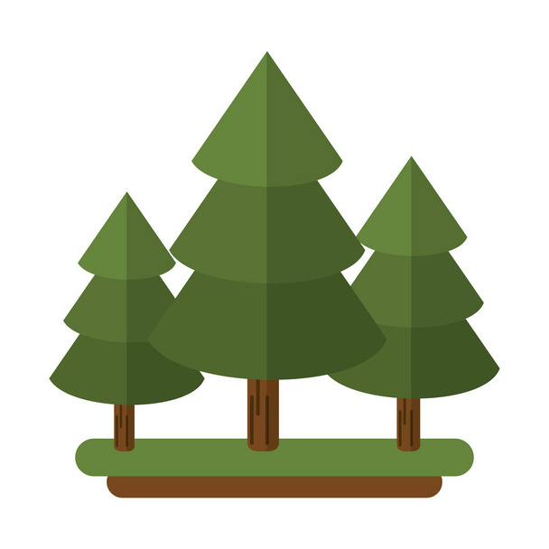 Canadese groenblijvende boom pine - Vector, afbeelding