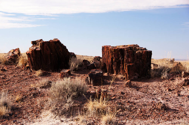 Petrified-Forest-National-Park, Arizona, EUA
 - Foto, Imagem
