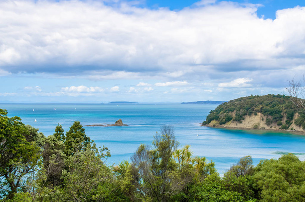 Региональный парк Махуранги в Окленде, Новая Зеландия
. - Фото, изображение