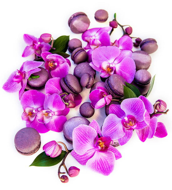 Orquídeas e macarões sobre um fundo branco
 - Foto, Imagem