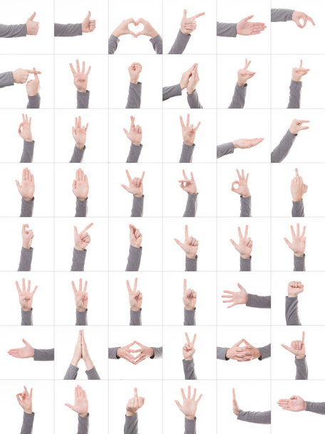 Collection set of many different hands symbols isolated on white background - Photo, Image