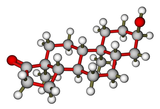 L'androstérone, une hormone sexuelle masculine. Modèle moléculaire
 - Photo, image