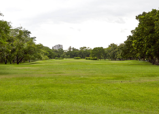 Δημοτικό Πάρκο, πάρκο της πόλης, στο Vachirabenjatas Park (πάρκο σαπίσουν Fai) Μπανγκόκ, Thailan - Φωτογραφία, εικόνα