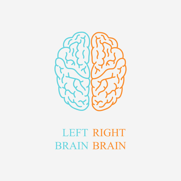 Left and right brain on gray background - Vector, Image