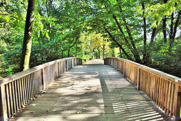 Ponte de madeira idílica sobre um riacho
 - Foto, Imagem