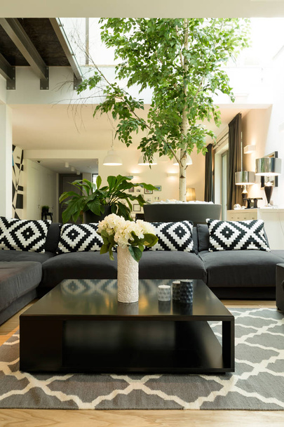 Room with sofa, plants and skylight - Fotografie, Obrázek