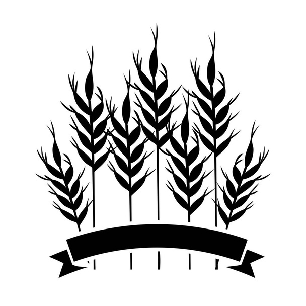 Diseño aislado de espiga de trigo
 - Vector, Imagen