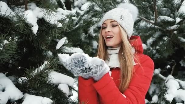 ゆっくり凍るような冬の雪を吹く女性の撮影 - 映像、動画