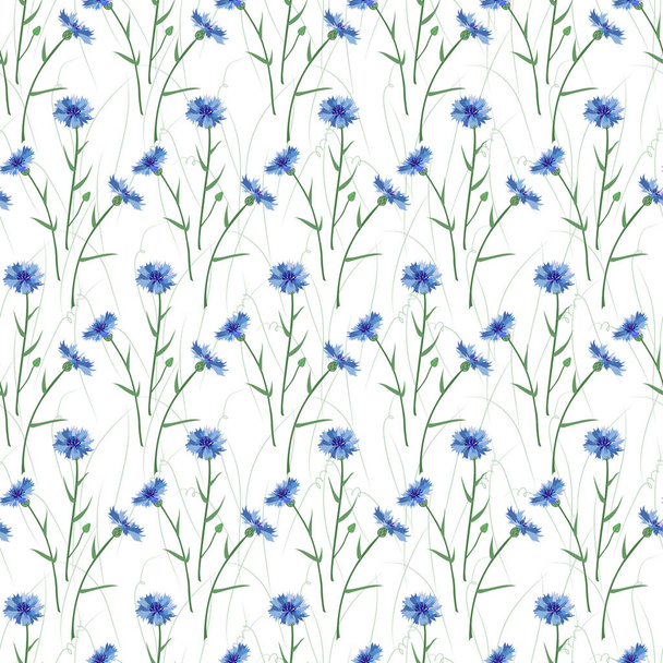 Seamless background of wildflowers. Cornflower. Pattern. - Vector, afbeelding