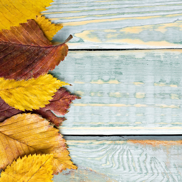 Folhas de outono em madeira vintage gasto
 - Foto, Imagem