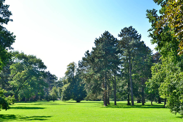 escena del parque con prado verde
 - Foto, Imagen