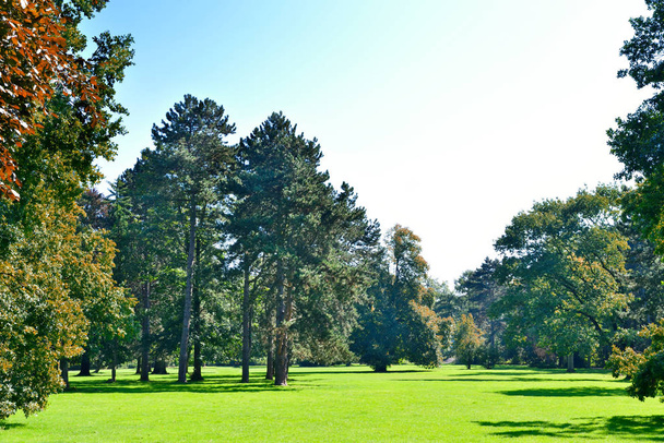 Park scène met groene weide - Foto, afbeelding