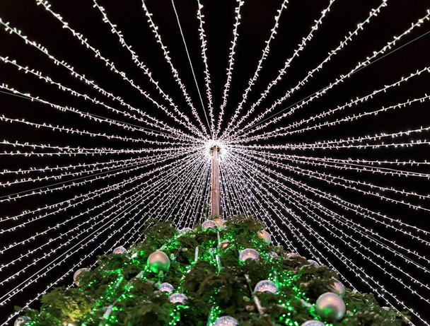 Vilnius Litvanya yüklü dekorasyon ile Noel ağacı - Fotoğraf, Görsel