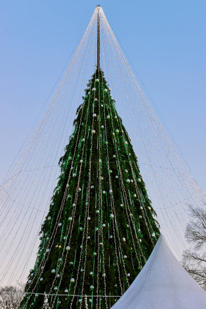 Árbol de Navidad con decoraciones y casas de recuerdos en Vilna
 - Foto, imagen