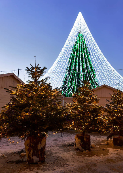 Christmas tree with veiling garland installed in Vilnius of Lithuania - Photo, Image