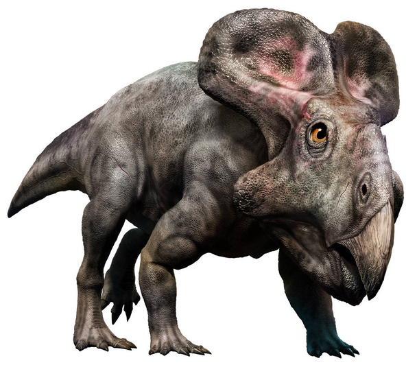 Ilustracja protoceratopsa 3d - Zdjęcie, obraz