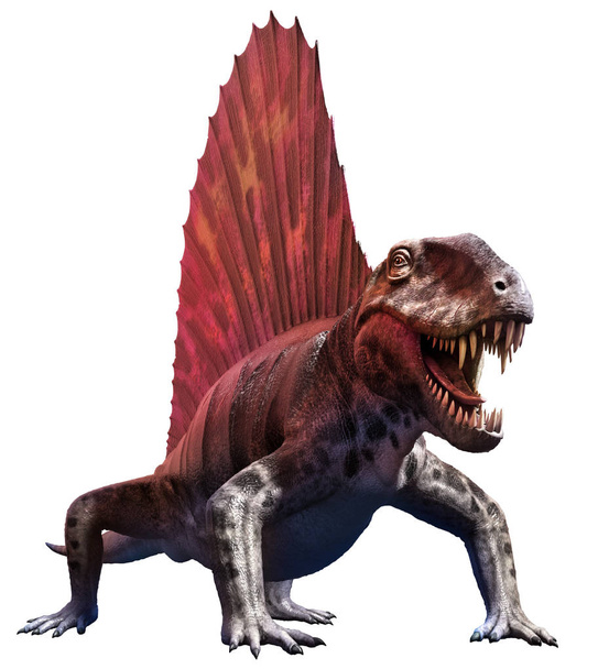 Dimetrodon 3d illustratie - Foto, afbeelding
