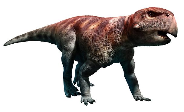 Psittacosaurus 3d ilustracja - Zdjęcie, obraz