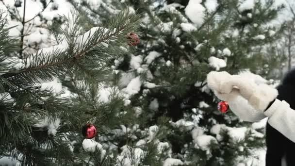 Mulher decora abeto nevado com brinquedo de Natal vermelho ao ar livre
 - Filmagem, Vídeo