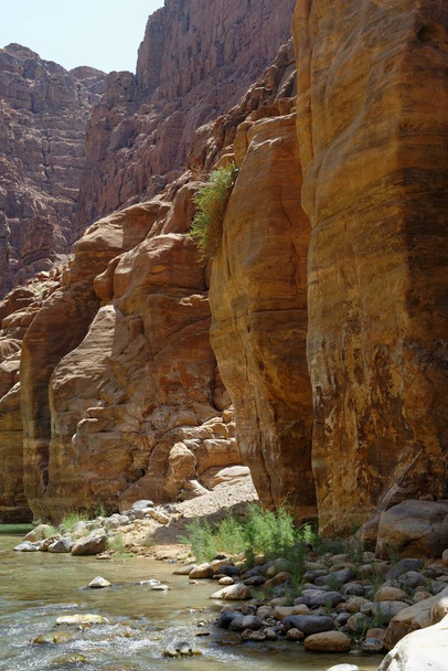 Jordan のシー ・ クリークの風光明媚な崖 - 写真・画像