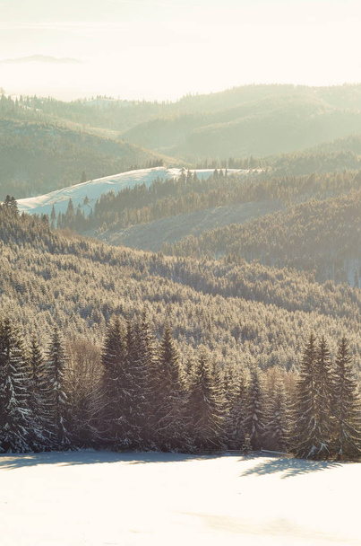 Winter landscape with snow covered trees - Valokuva, kuva