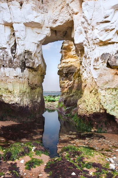 Old Harry Rocks Côte jurassique UNESCO Dorset Angleterre à marée basse
 - Photo, image