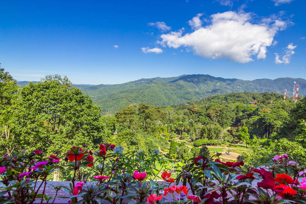Цветочное дно лесной горы и голубое небо
 - Фото, изображение