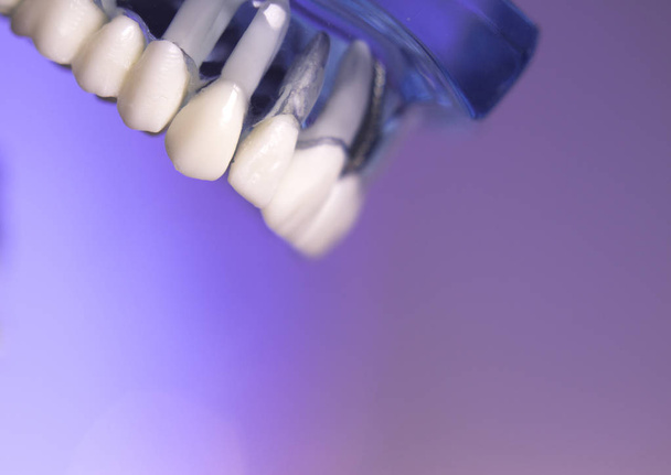 Takma diş diş hekimliği öğrencileri için - Fotoğraf, Görsel