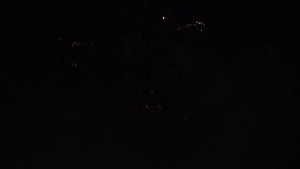 Los fuegos artificiales de Año Nuevo en el cielo nocturno - Metraje, vídeo