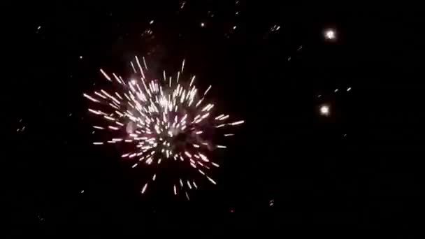 Nowy rok fajerwerki na nocnym niebie - Materiał filmowy, wideo