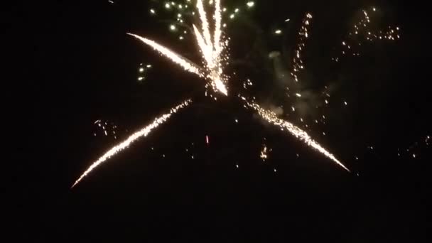 Los fuegos artificiales de Año Nuevo en el cielo nocturno - Metraje, vídeo