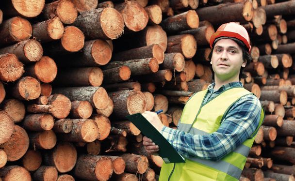 Werknemer in helm telt hout hout - Foto, afbeelding
