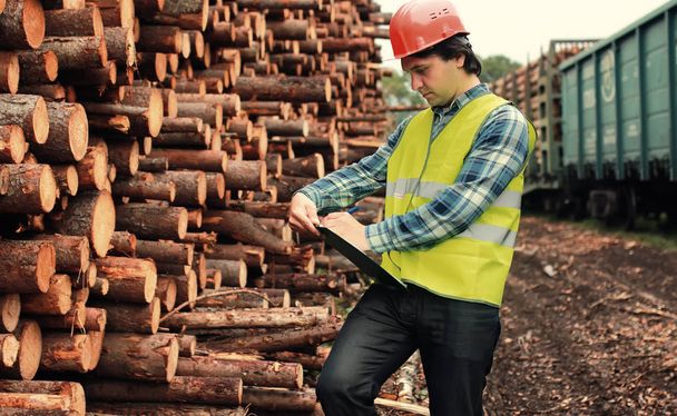 Trabajador en casco cuenta madera aserrada - Foto, imagen