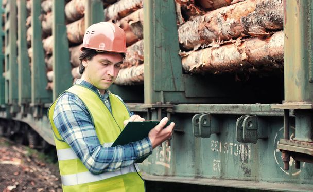 Worker in helmet counts wood lumber - Photo, Image