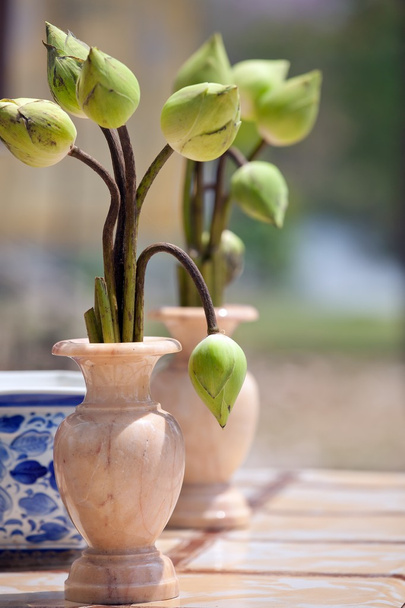 Bouquet di boccioli di loto
 - Foto, immagini