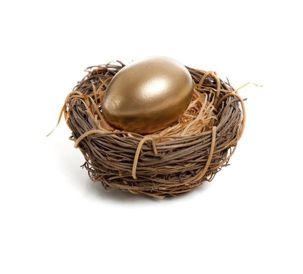 A Golden Egg in Nest - 写真・画像