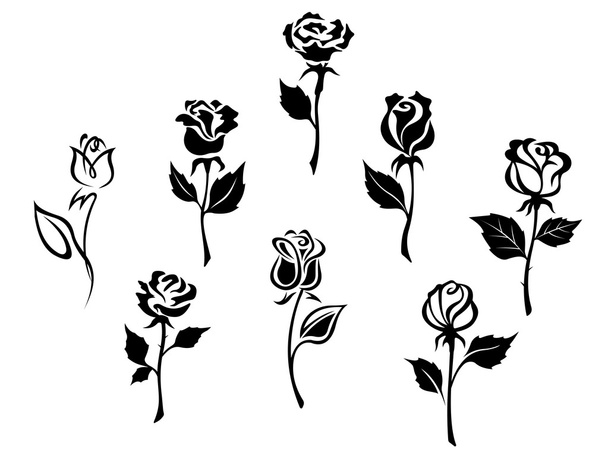 Beautiful roses set - Vector, Image