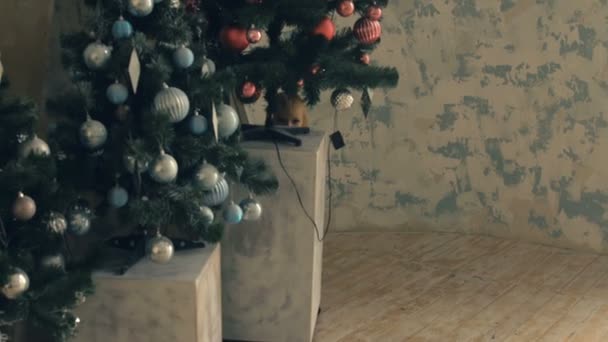 Το μικρό χαριτωμένο κορίτσι κρύβεται πίσω από το χριστουγεννιάτικο δέντρο και, στη συνέχεια, τρέχουν μακριά - Πλάνα, βίντεο