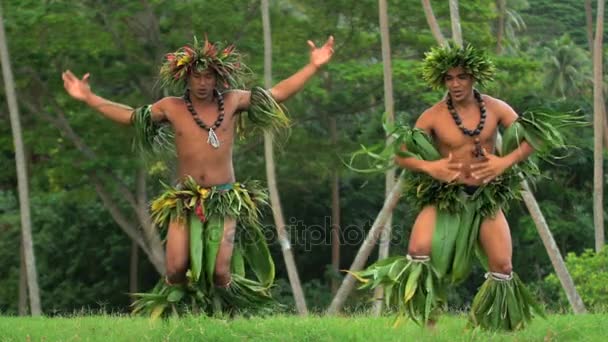 mężczyzn, taniec hula - Materiał filmowy, wideo