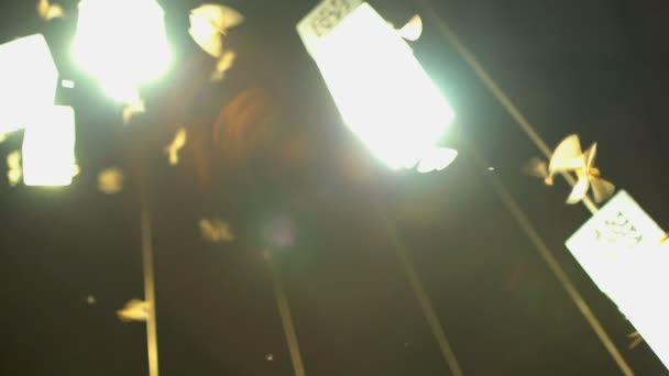 világító rovar szárnya fény Raj - Felvétel, videó