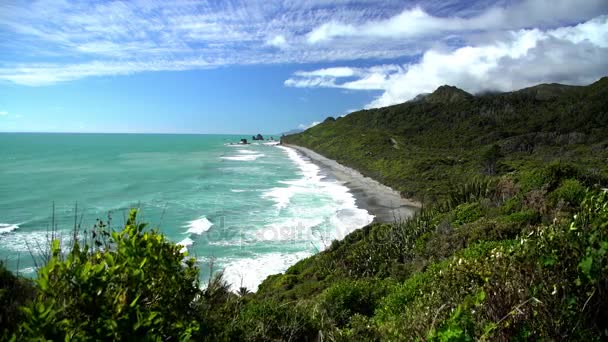 Tasman Denizi sahil şeridi üzerinde bitki örtüsü  - Video, Çekim
