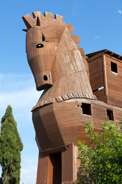 Trojan Horse located in Troy, Turkey - Photo, Image