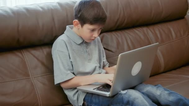 Little boy using laptop computer - Кадри, відео