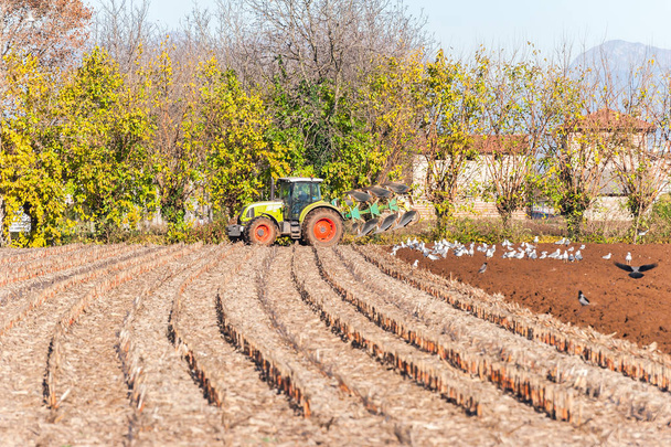 Traktor szántás egy mező - Fotó, kép