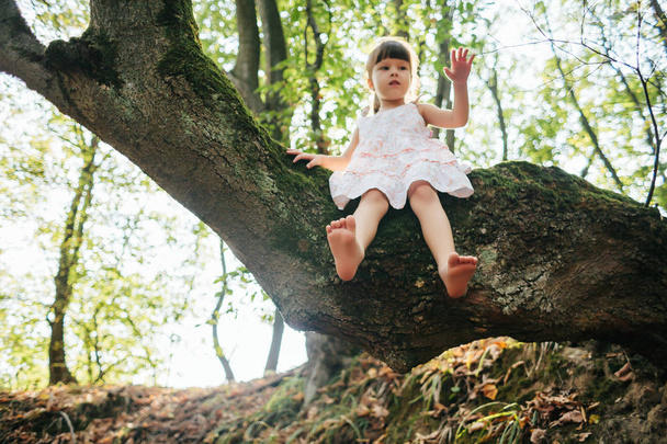 dívka sedící na stromě. nohy - Fotografie, Obrázek