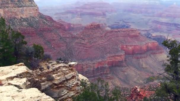 Park Narodowy Grand Canyon, Arizona, USA - Materiał filmowy, wideo