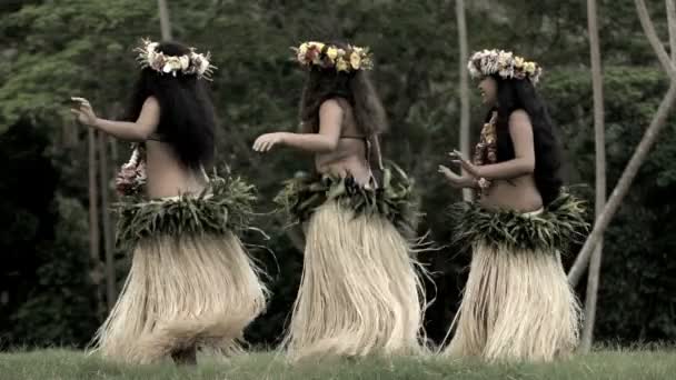 Polynéské tanečnice zábavné kostýmy - Záběry, video