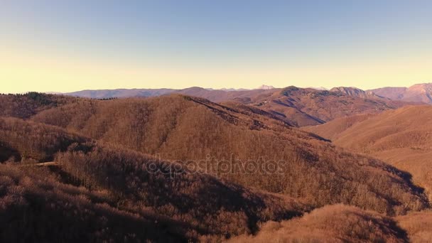Luftaufnahme, Herbstholz in den Bergen mit orangen trockenen Blättern, Sonne hoch am Himmel - Filmmaterial, Video