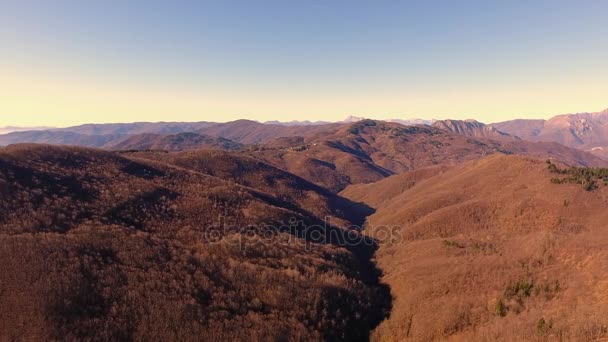 Tiro aéreo, madeira de outono nas montanhas com folhas secas alaranjadas, sol alto no céu
 - Filmagem, Vídeo