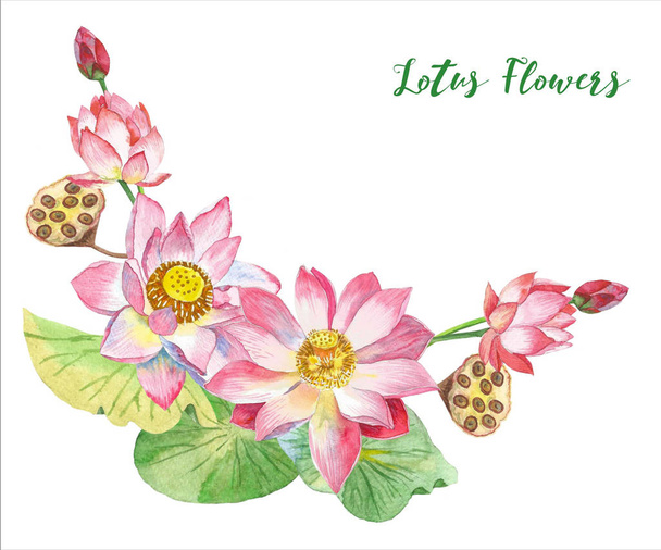 Lotus Flowers. Hand drawn illustration - Foto, Imagen